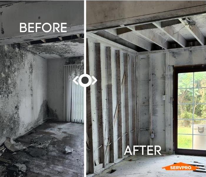 before and after photo of dining room with mold