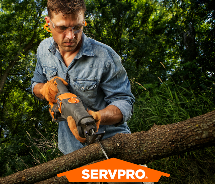 A SERVPRO logo over a photo of a man trimming a tree branch with a saw.