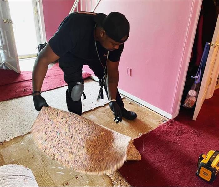 A man in a black SERVPRO t-shirt pulls back a maroon carpet.